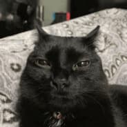 oticz