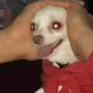 Edgarz