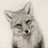 m1ghtyFox