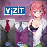 vizit