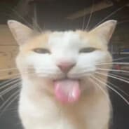 haWnky