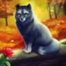Tushar