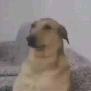 Tipex_