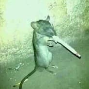 Stuart Little