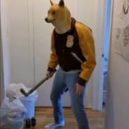Doge Miami????????????????????