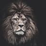 rsl'