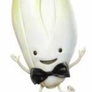 Willy Witloof