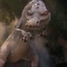 Dinosauer