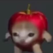 ZXCvladik