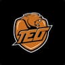 TE