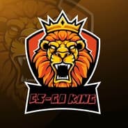 Bot King