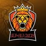 Bot King