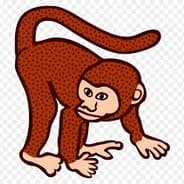 monkey
