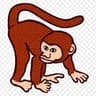monkey