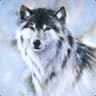LightWolf