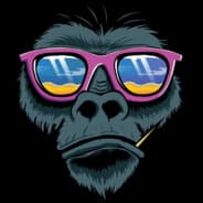Urban Monkey