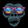 Urban Monkey