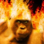 Naughty fire player-Born in 2017