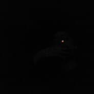 LastFlare