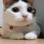awsumpossum