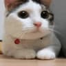 awsumpossum