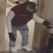 monkey in white air force ones