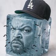 ICE PUBE