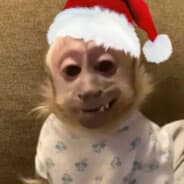 Nayomy
