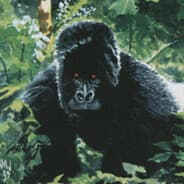 ape