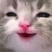 HEWHAHEAHHWH