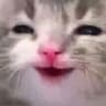 HEWHAHEAHHWH