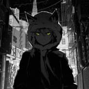 Zoro_Gaming "csgorun"