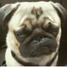 PuGzuera