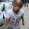 thelsin