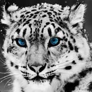The Snow Leopard
