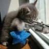 GetGudPuss