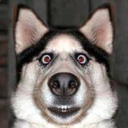 benny