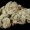 I is cotton not weed