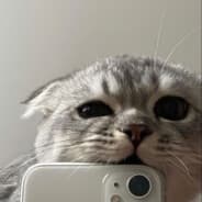 Wᴇɪɢʜᴛʟᴇꜱꜱ