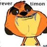 Timon