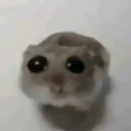 xd