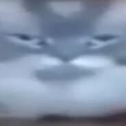 YamaKa$i