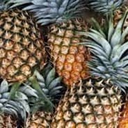 Lilac Pineapple