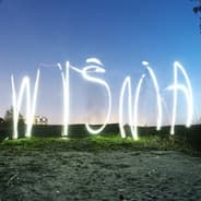 Wisnia