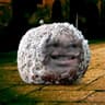 Lord Mouldy Wart