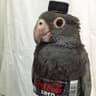 ar1mkΩ 14-16