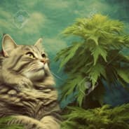 KatKushCancer