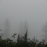 aleks2805