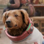 Cosmo The Dog