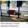 dobraes